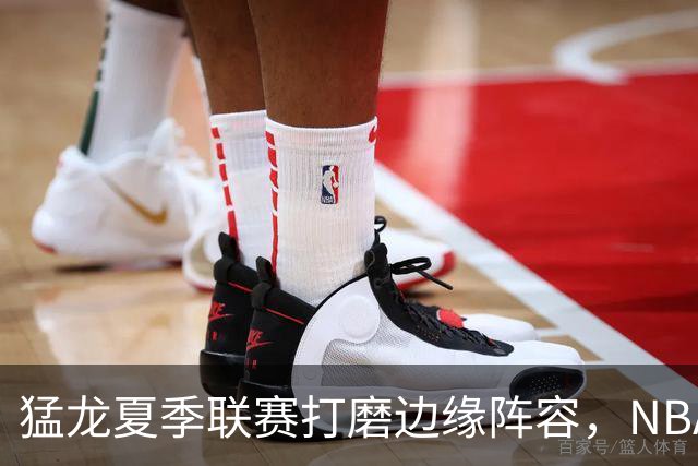 猛龙夏季联赛打磨边缘阵容，NBA静待莱昂纳德詹姆斯决定